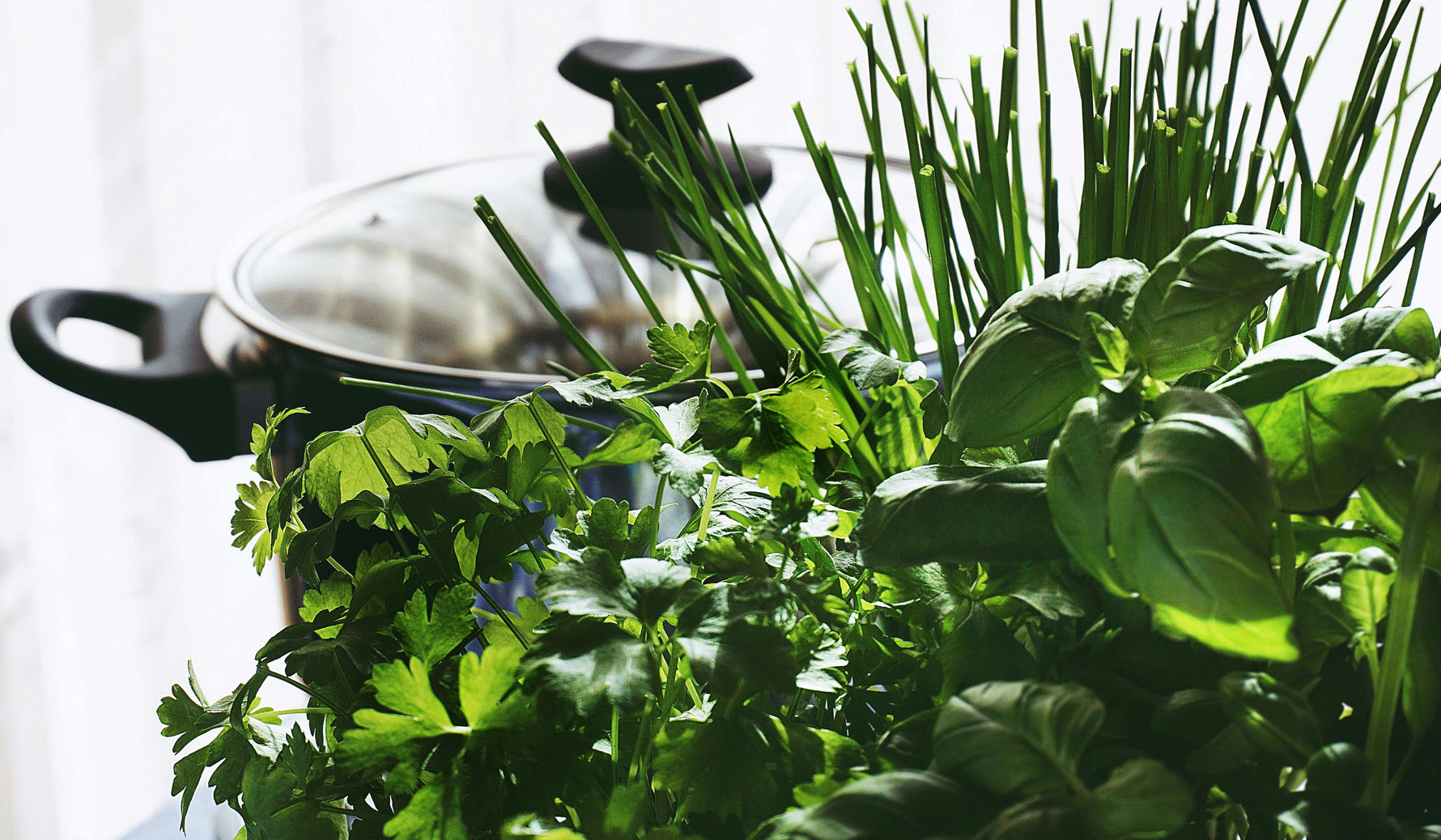 Beginner’s Guide to Seed Saving: How to Prep for Next Year’s Garden