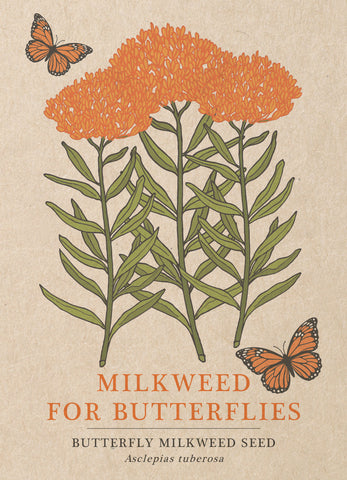 Butterfly Milkweed for Butterflies Seed Packets - Pollinator / Environmental Seed Packets Asclepias tuberosa - Bentley Seed