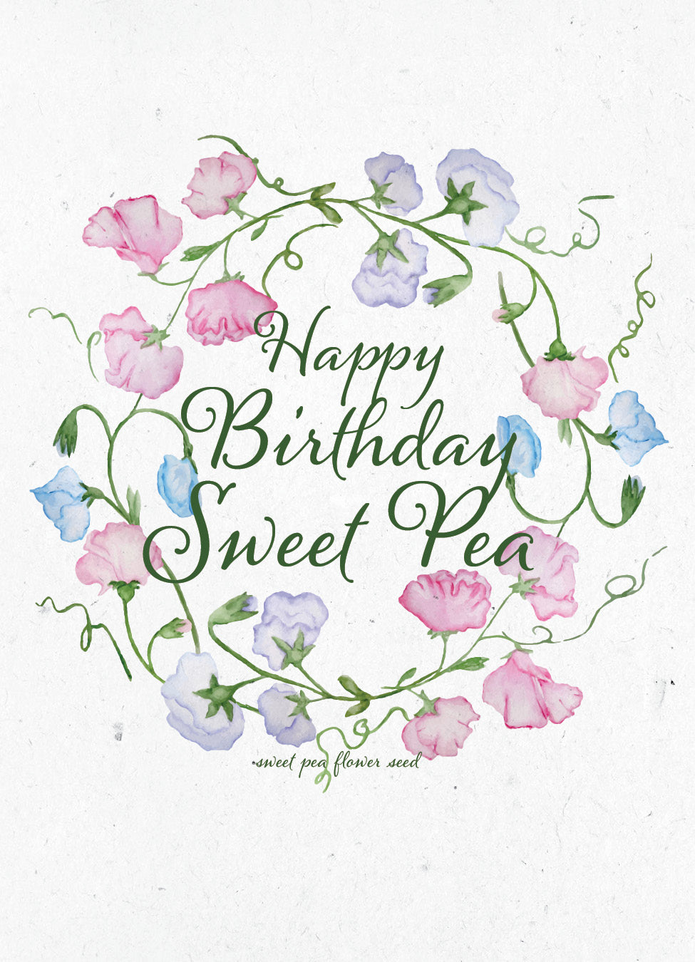 Happy Birthday Sweet Pea garden seeds