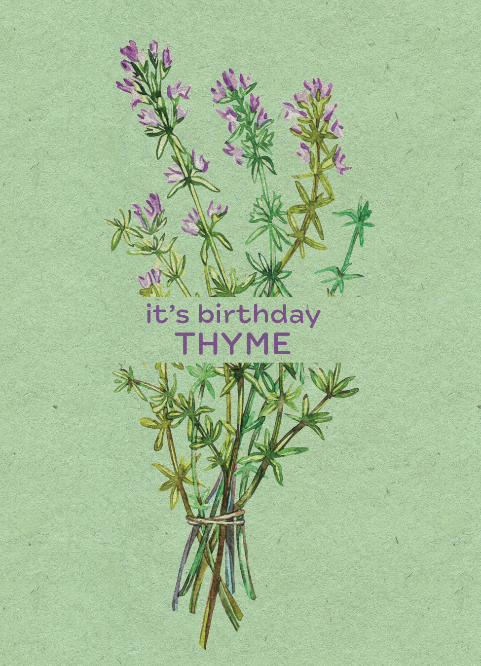 It's Birthday Thyme seed packet