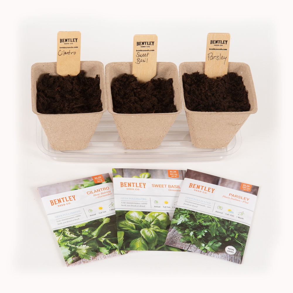 Window Garden Starter Kit flower seeds