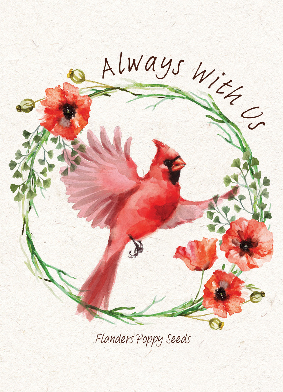 Memorial Cardinal garden seeds