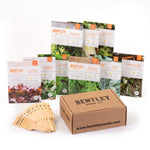 Salad Greens Seed Packet seed packet