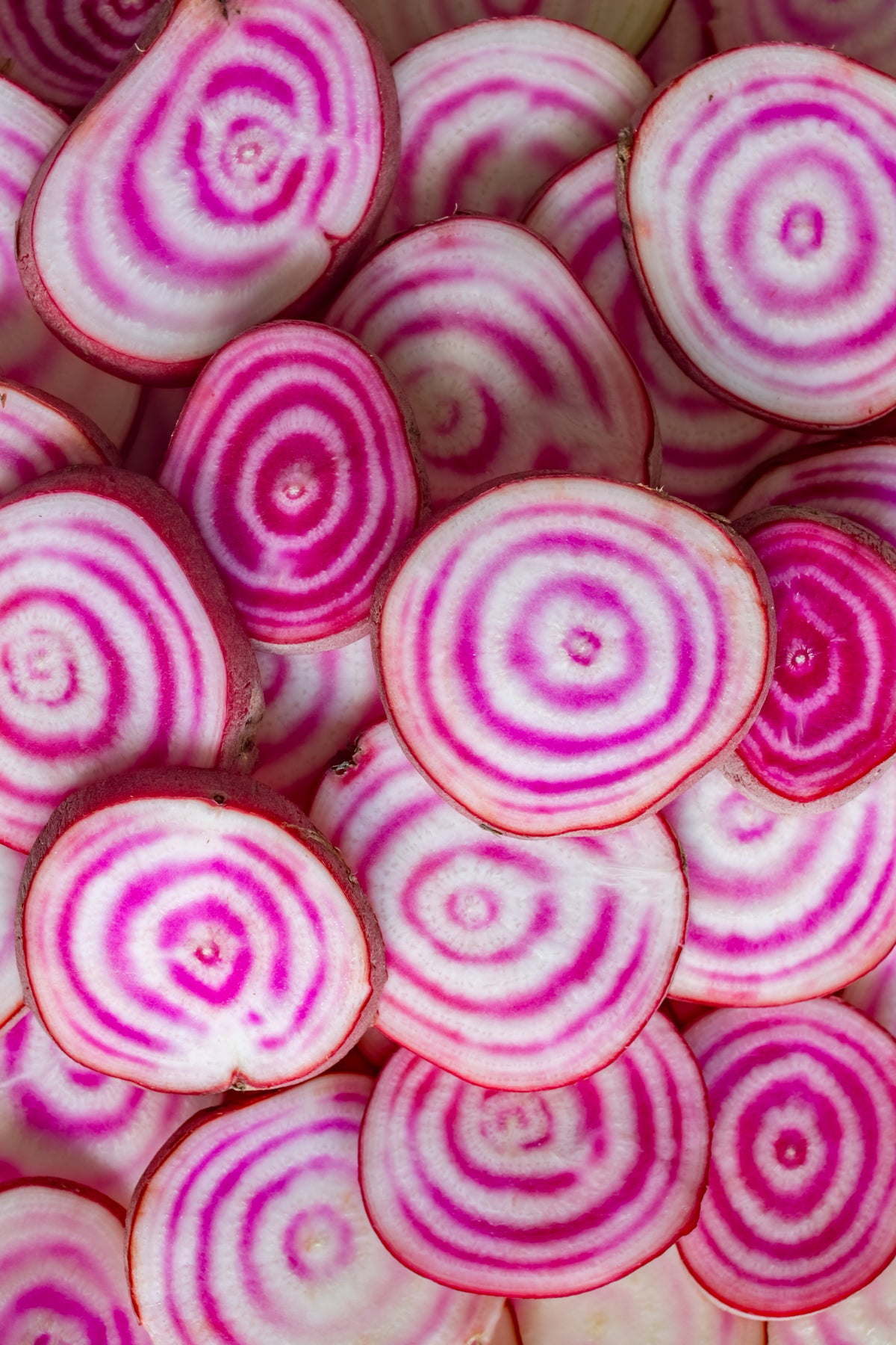 Beets, Chioggia Bassano seed packet