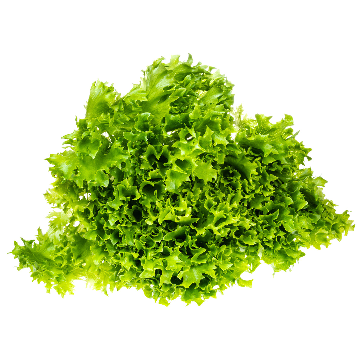 Lettuce, Green Ice flower seeds