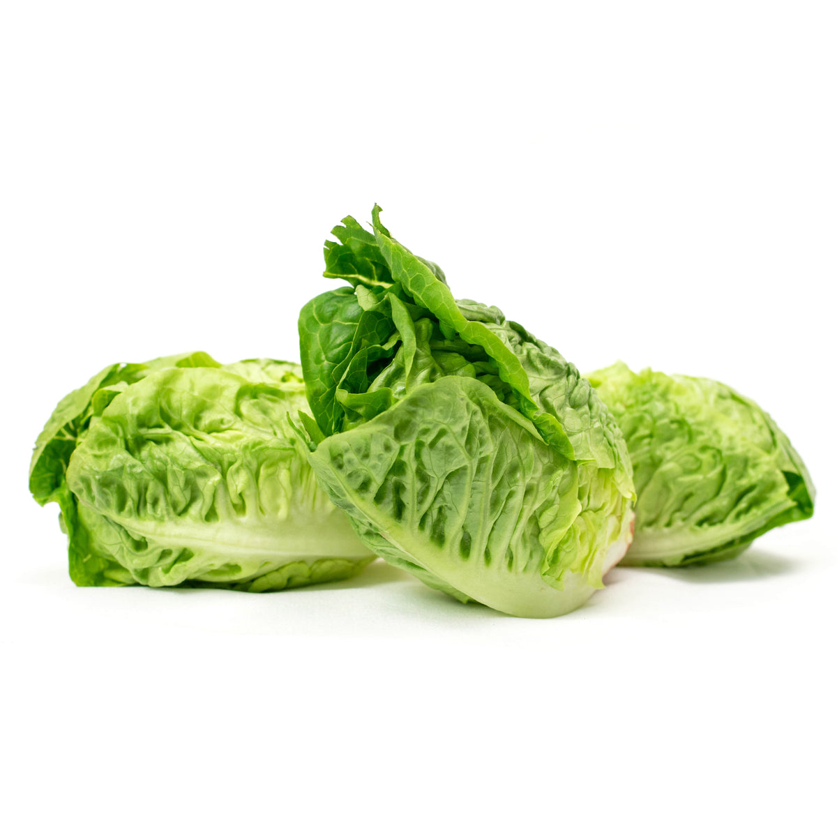 Lettuce, Little Gem seed packet