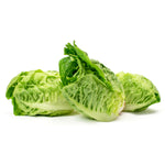 Lettuce, Little Gem seed packet