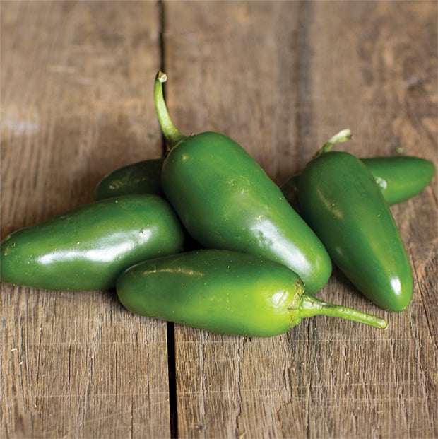 HOT Peppers Seed Packet garden seeds