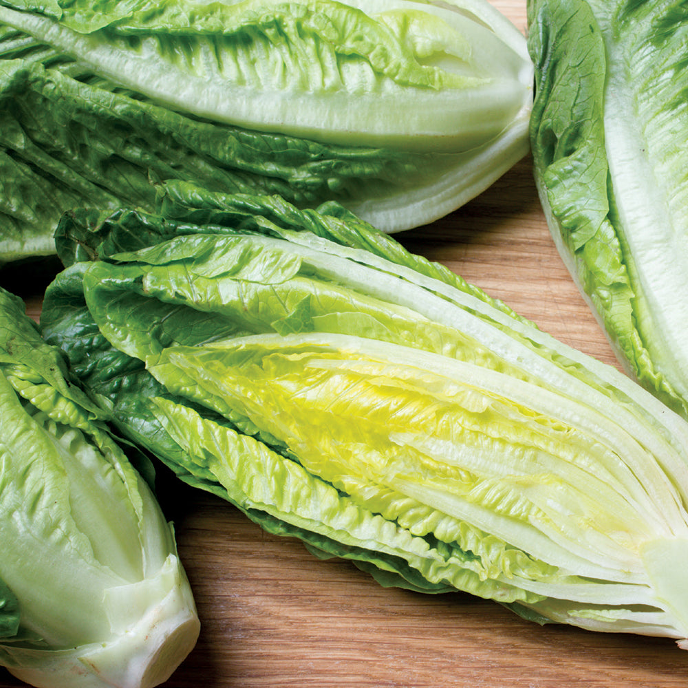 Salad Greens Seed Packet seed packet