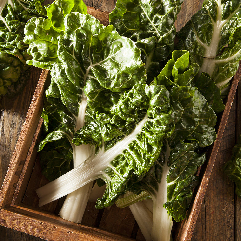 Salad Greens Seed Packet seed packet