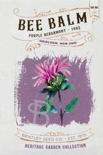 Front of heirloom Purple Bergamont Bee Balm seed packet.
