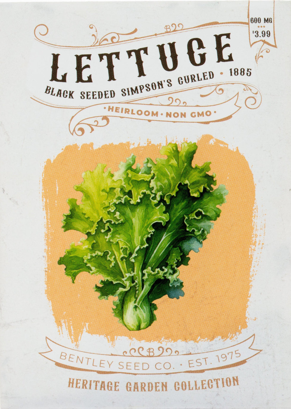 Front of heirloom Black Seed Simpsons Curled Lettuce seed packet.