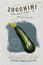 Zucchini-Black Beauty Squash 1957 – Flower Seed Packet
