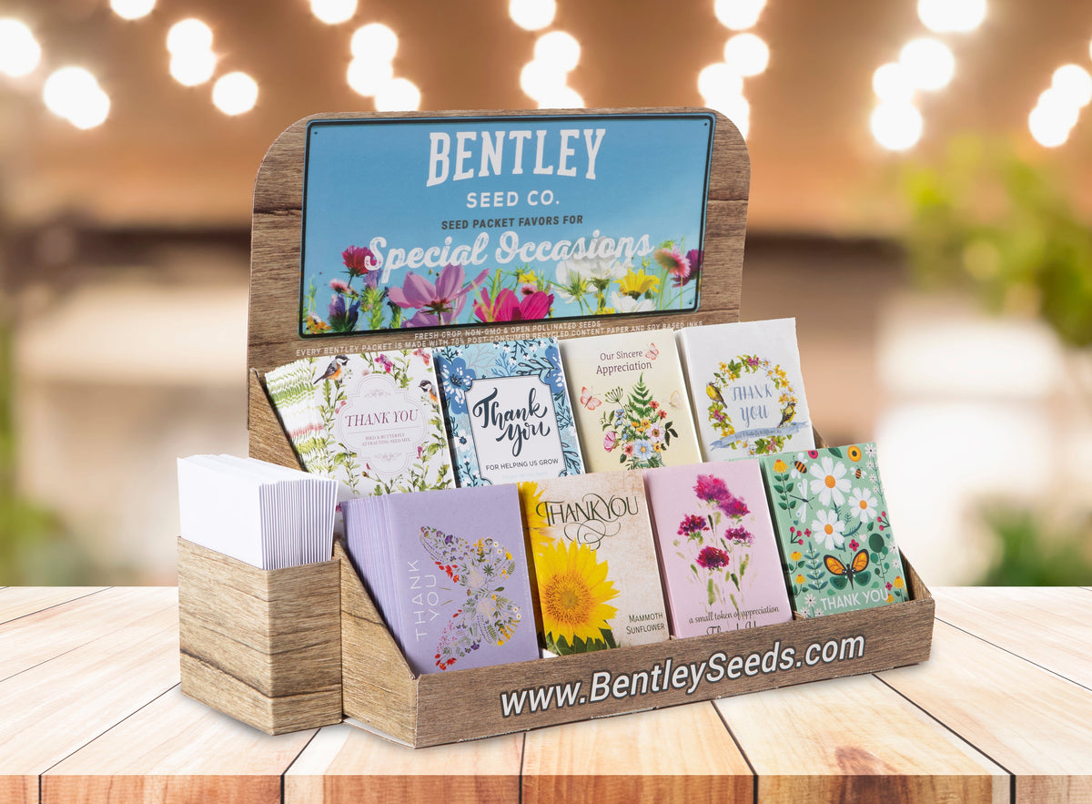 Envelope Holder for Bentley Retail POS Display with 75 White Seed Packet Envelopes seed packet