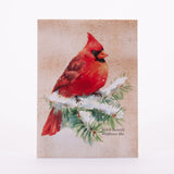 Snowy Cardinal Happy Holidays Gift Tag - Bird & Butterfly Wildflower Mix Seed Packets