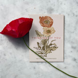 Thinking of You Classic Vintage Art - Corn Poppy Seed Packets