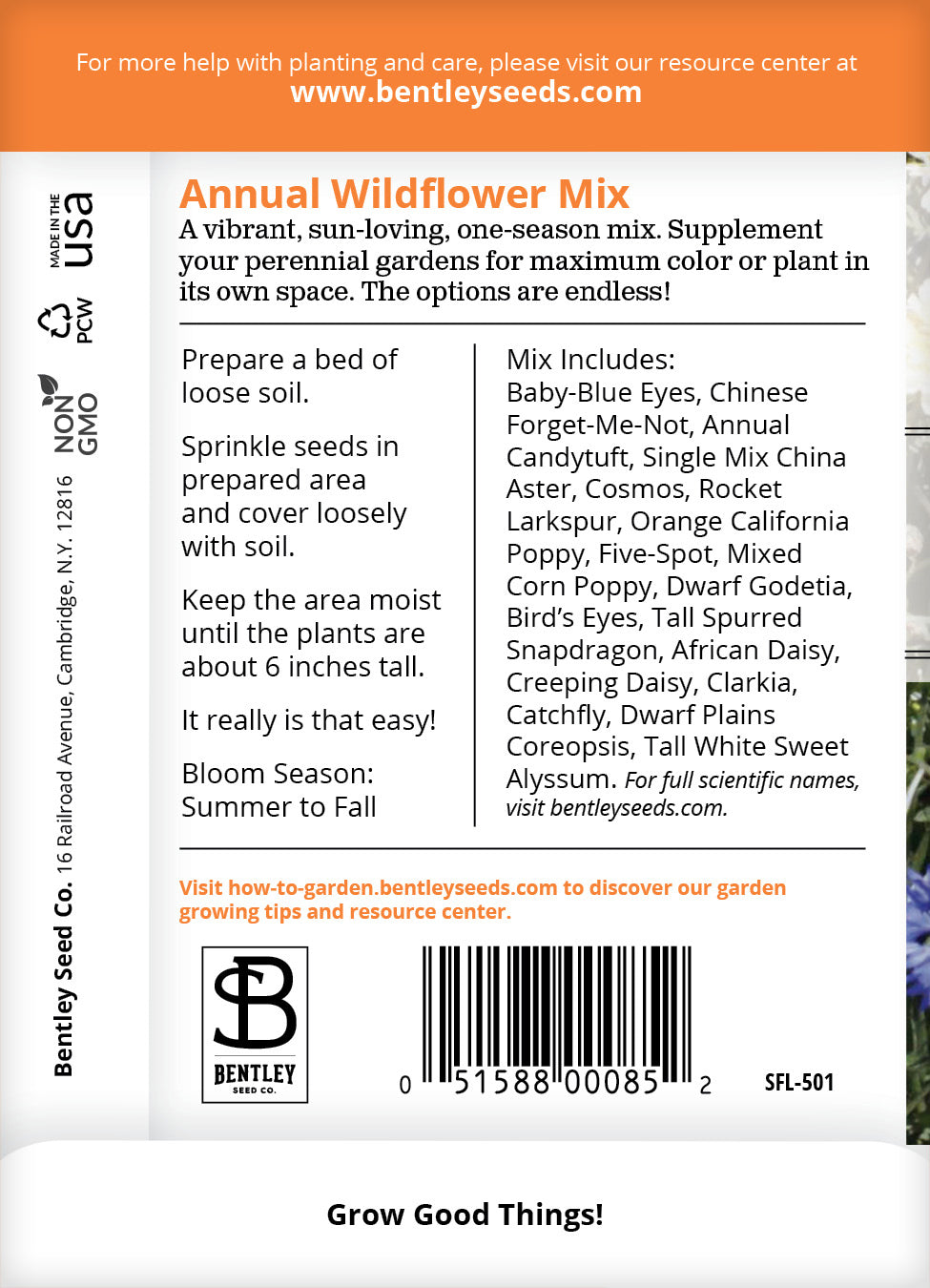 Wildflower, Annual Wildflower Mix Seed Packets flower seeds