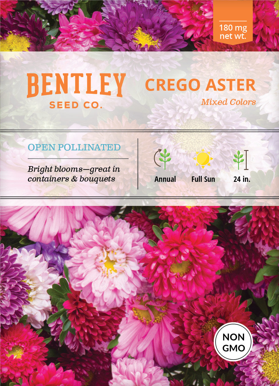 Aster, Crego Mixed Colors Seed Packets flower seeds