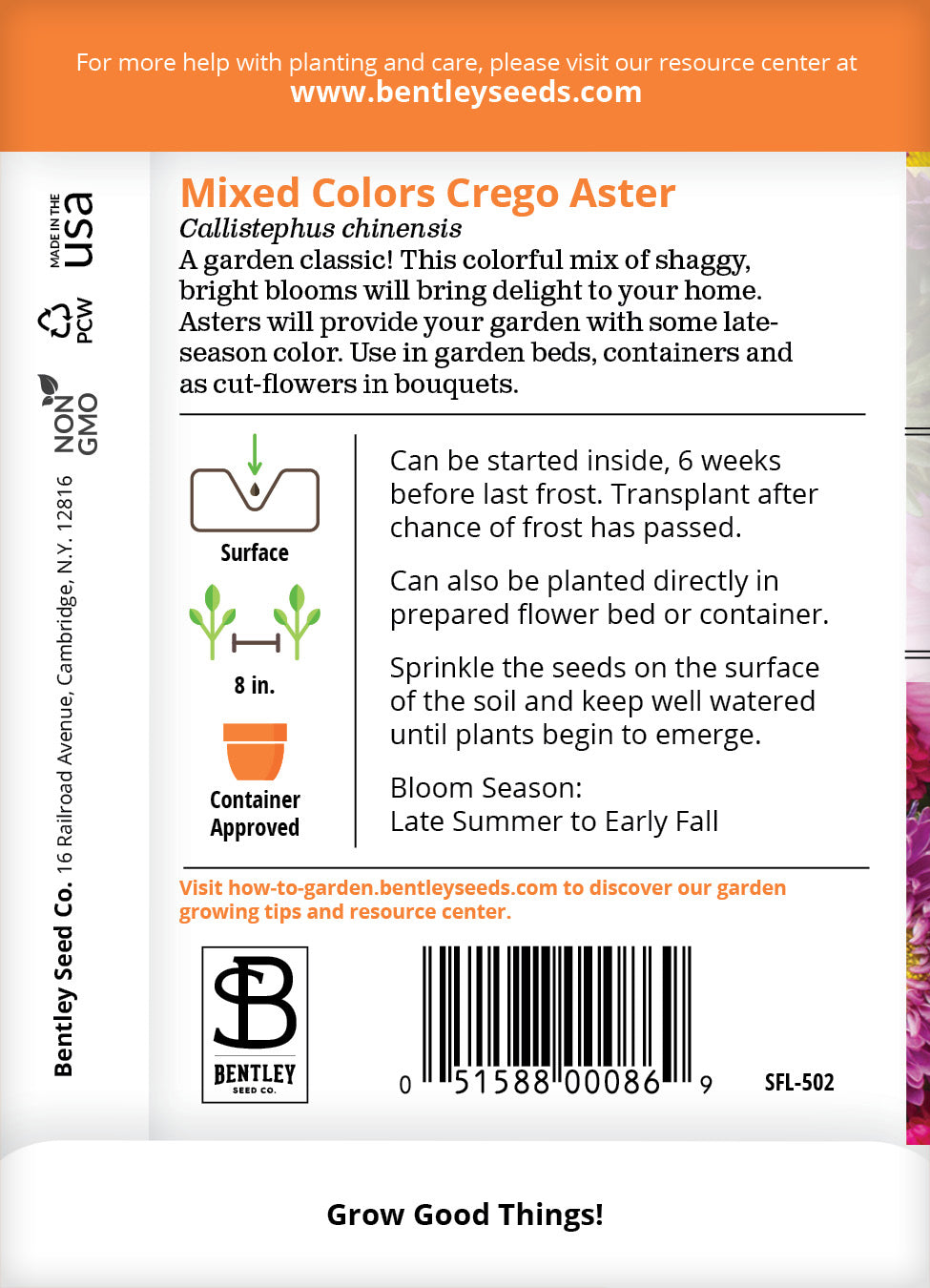 Aster, Crego Mixed Colors Seed Packets flower seeds