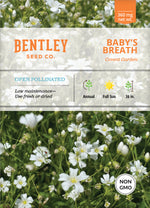 Baby's Breath Covent Garden Seed Packets garden seeds