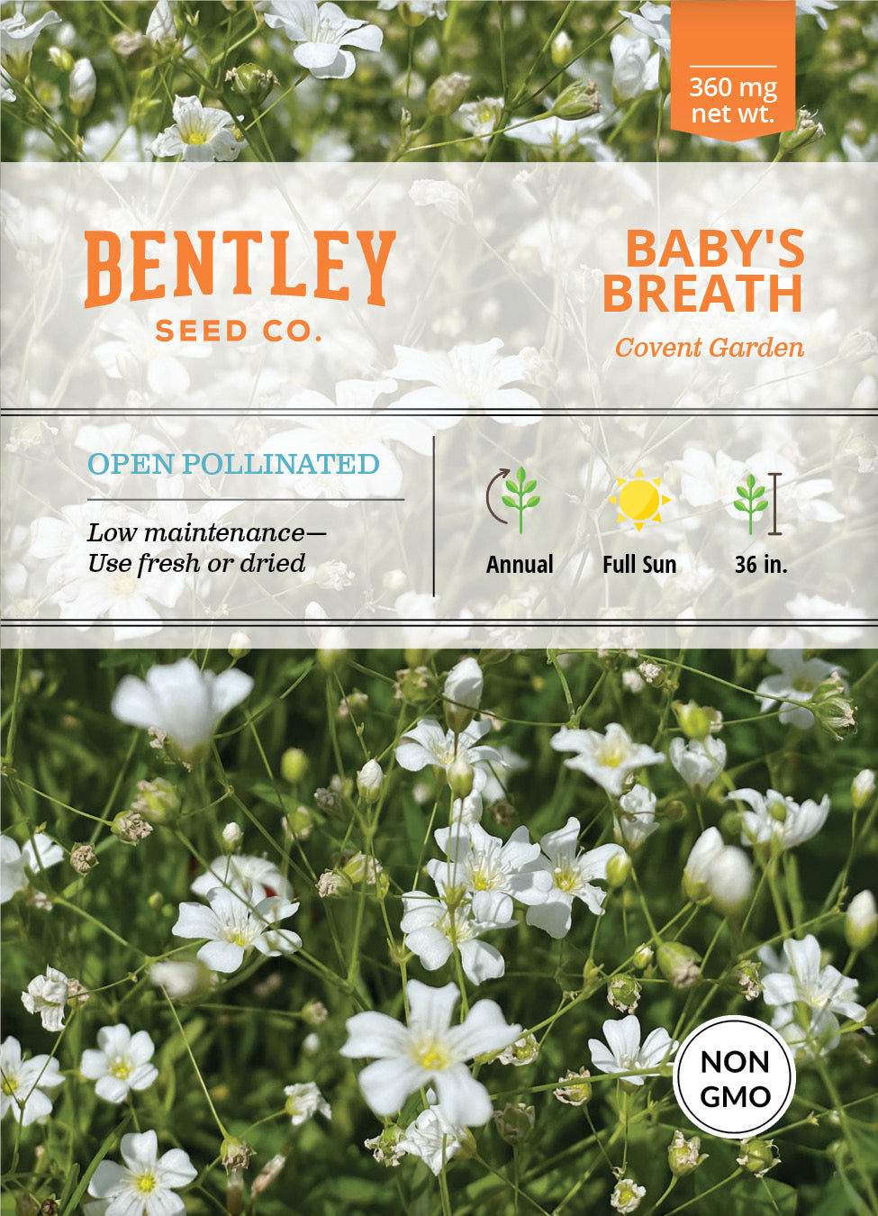 Baby's Breath Covent Garden Seed Packets garden seeds