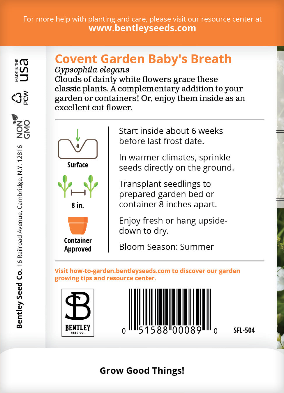 Baby's Breath Covent Garden Seed Packets garden seeds