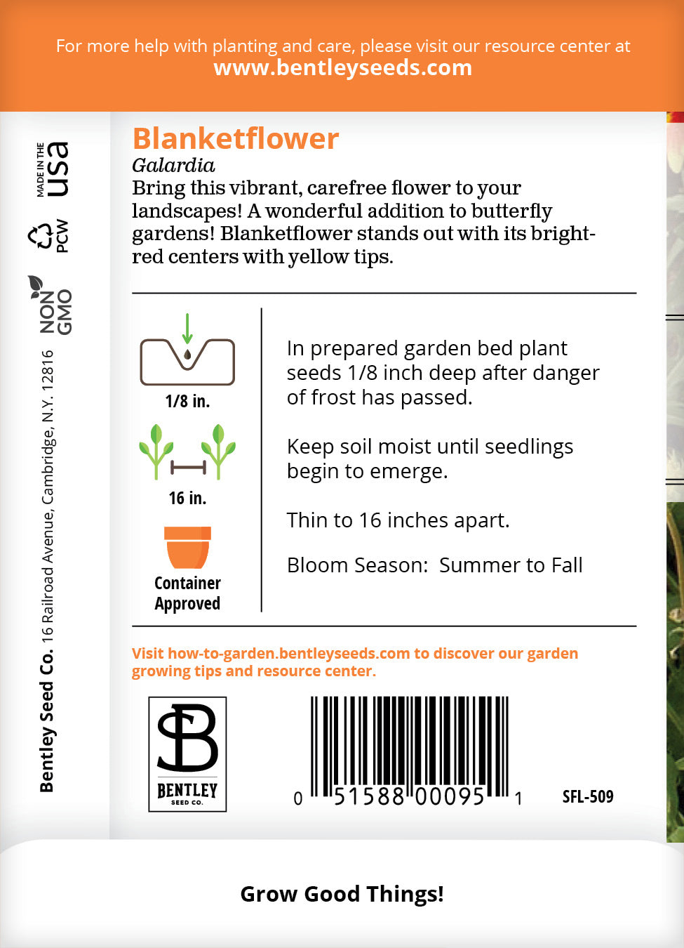 Blanketflower Seed Packets seed packet