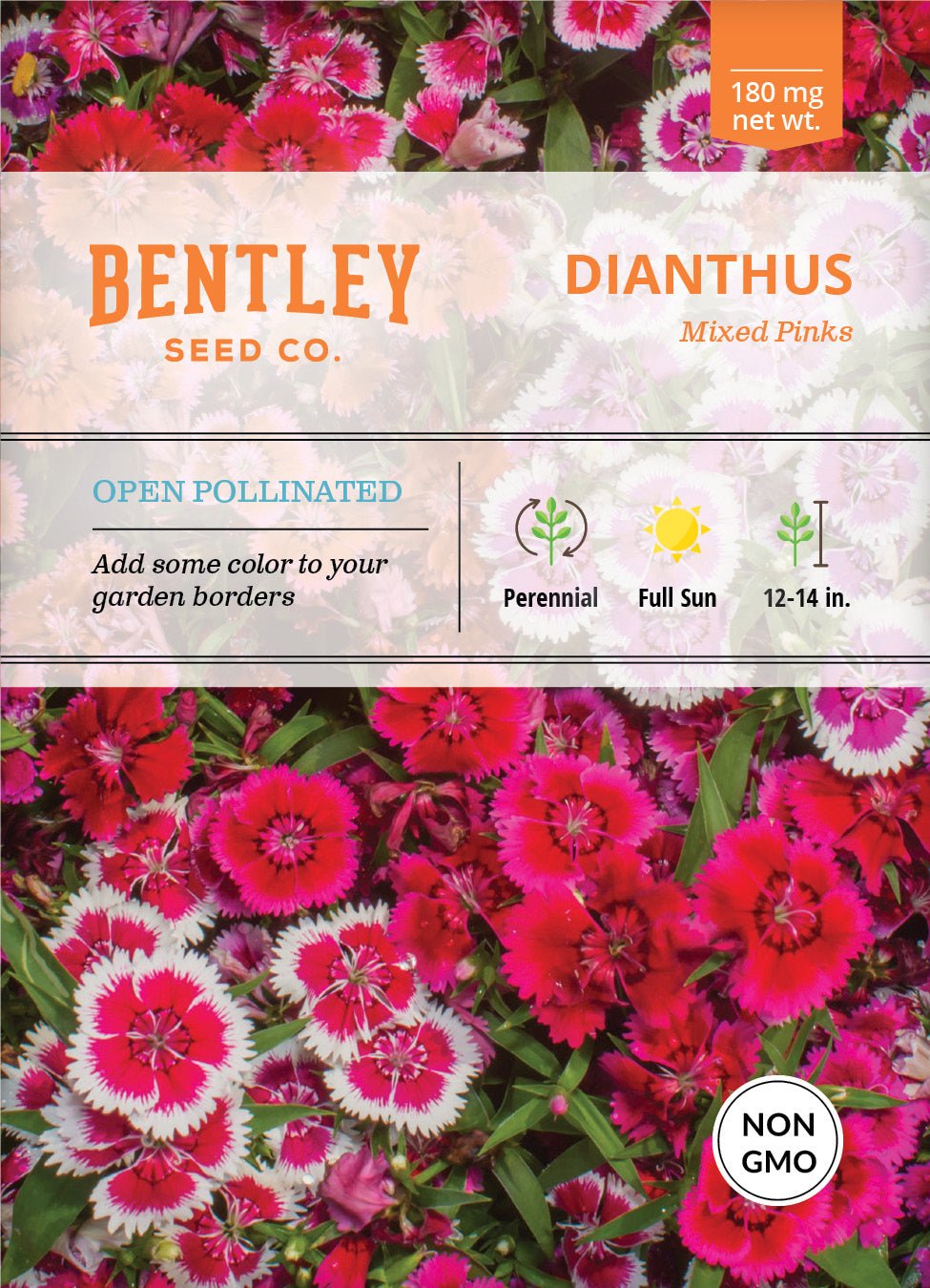 Dianthus, Mixed Colors Seed Packets flower seeds