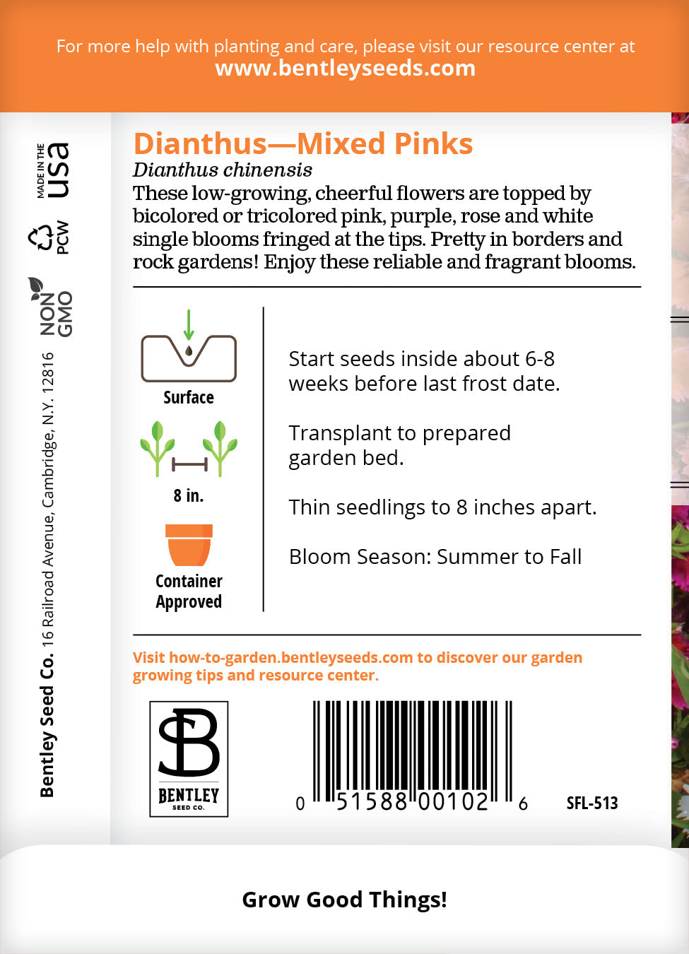Dianthus, Mixed Colors Seed Packets flower seeds