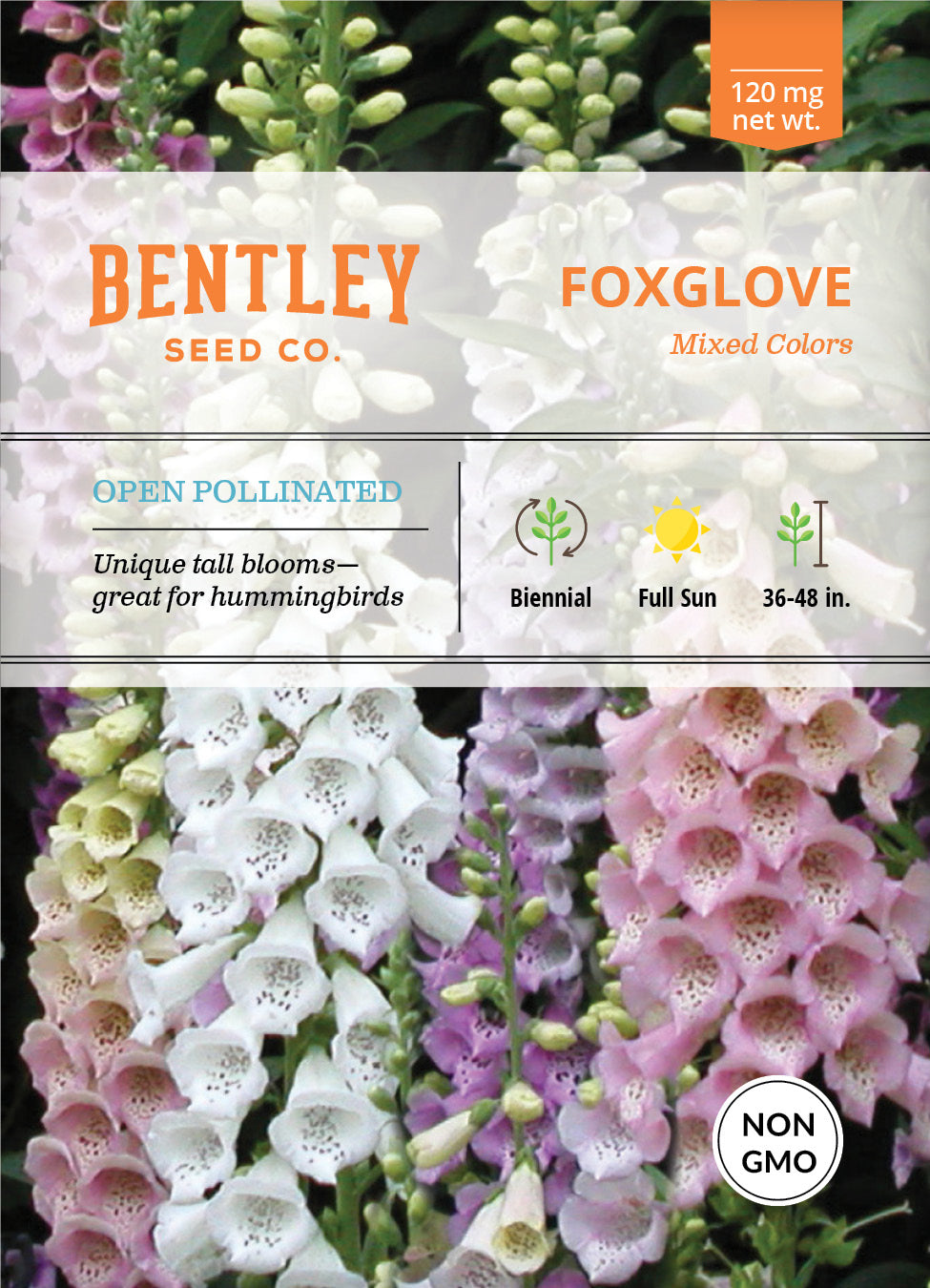Foxglove Seed Packets garden seeds