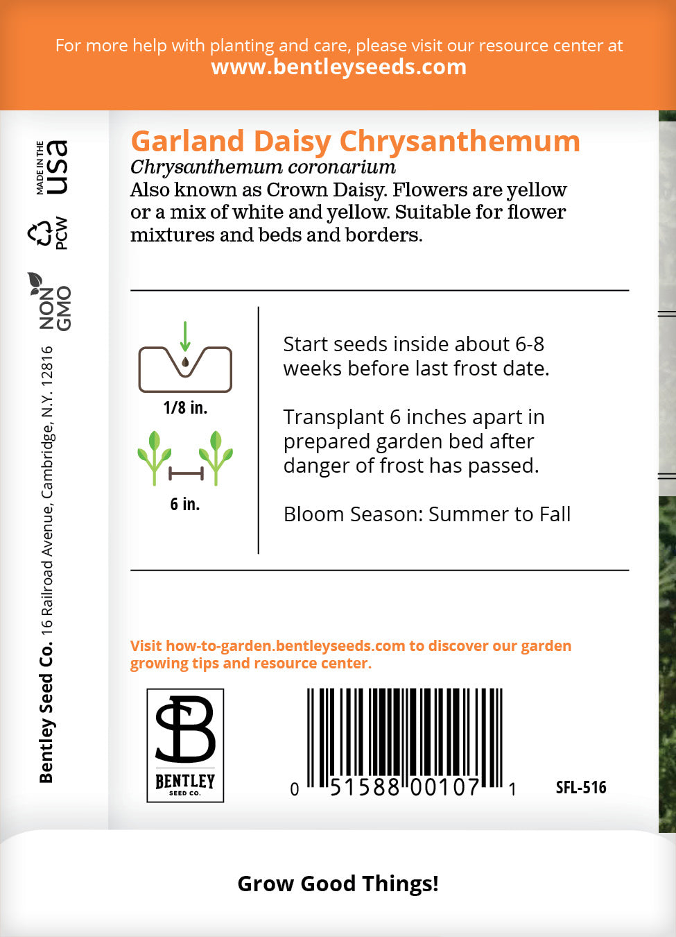Daisy, Garland Daisy Chrysanthemum Seed Packets flower seeds