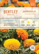 Marigold, Crackerjack Mixed Colors Seed Packets flower seeds