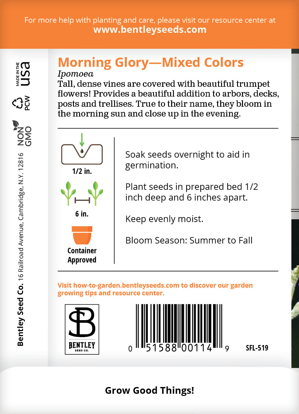 Morning Glory Seed Packets garden seeds