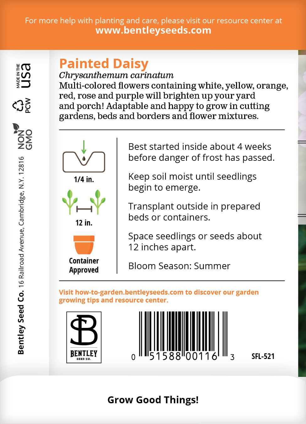 Daisy, Painted Daisy Seed Packets garden seeds