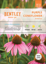 Purple Coneflower (Echinacea) Seed Packets garden seeds