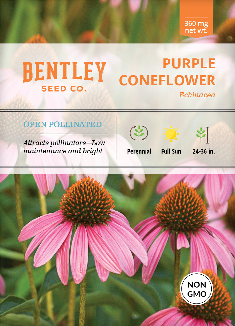 Purple Coneflower (Echinacea) Seed Packets garden seeds