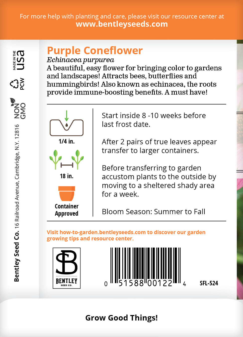 Purple Coneflower (Echinacea) Seed Packets garden seeds