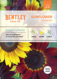 Sunflower, All Sorts Mix Seed Packets