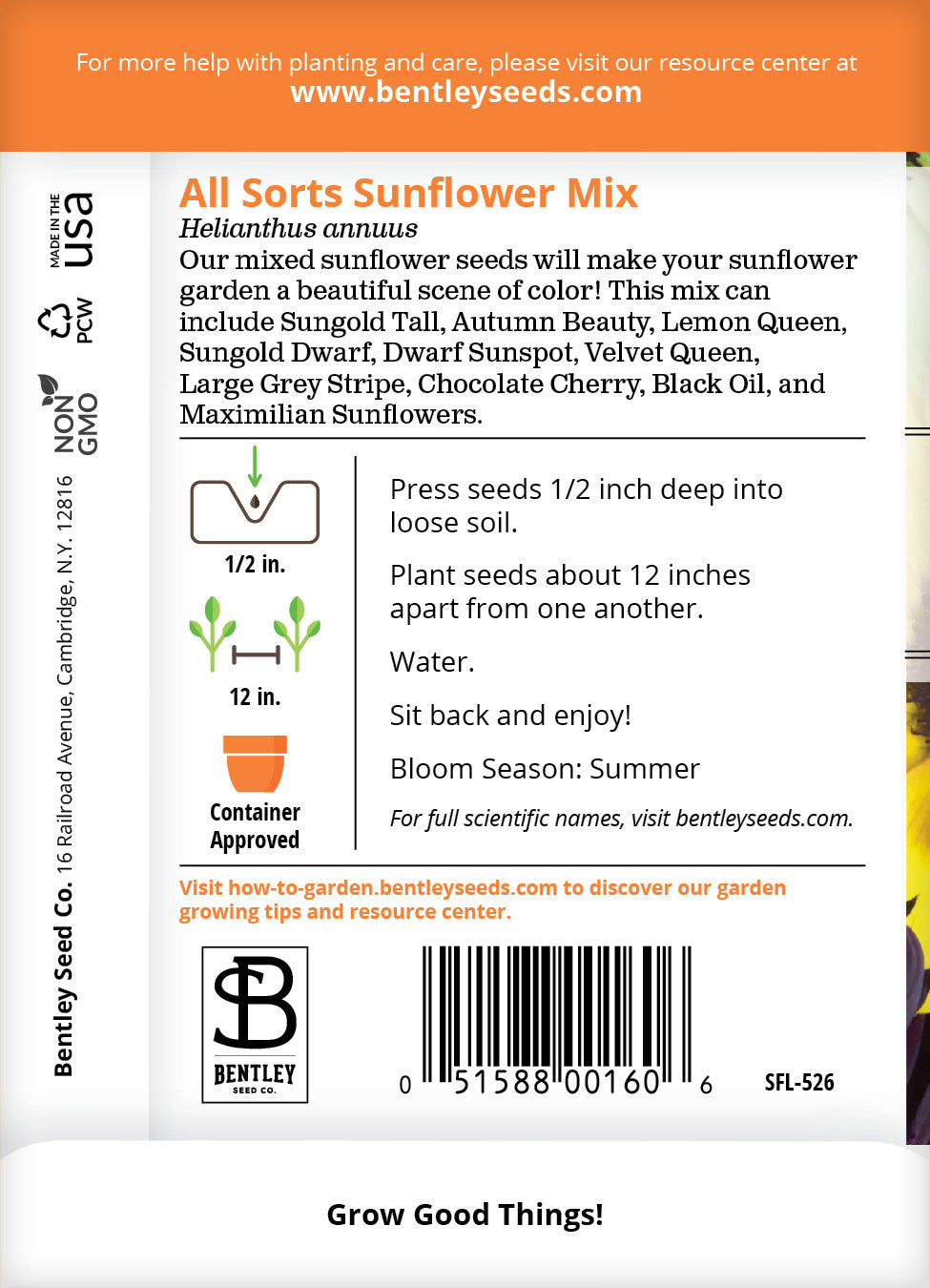 Sunflower, All Sorts Mix Seed Packets flower seeds