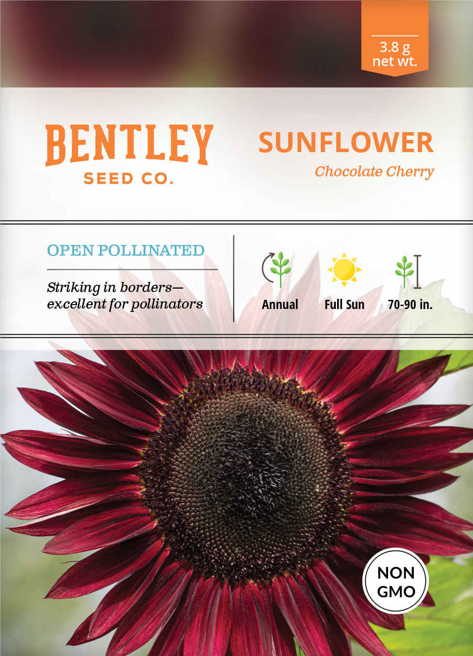 Sunflower, Chocolate Cherry Seed Packets seed packet