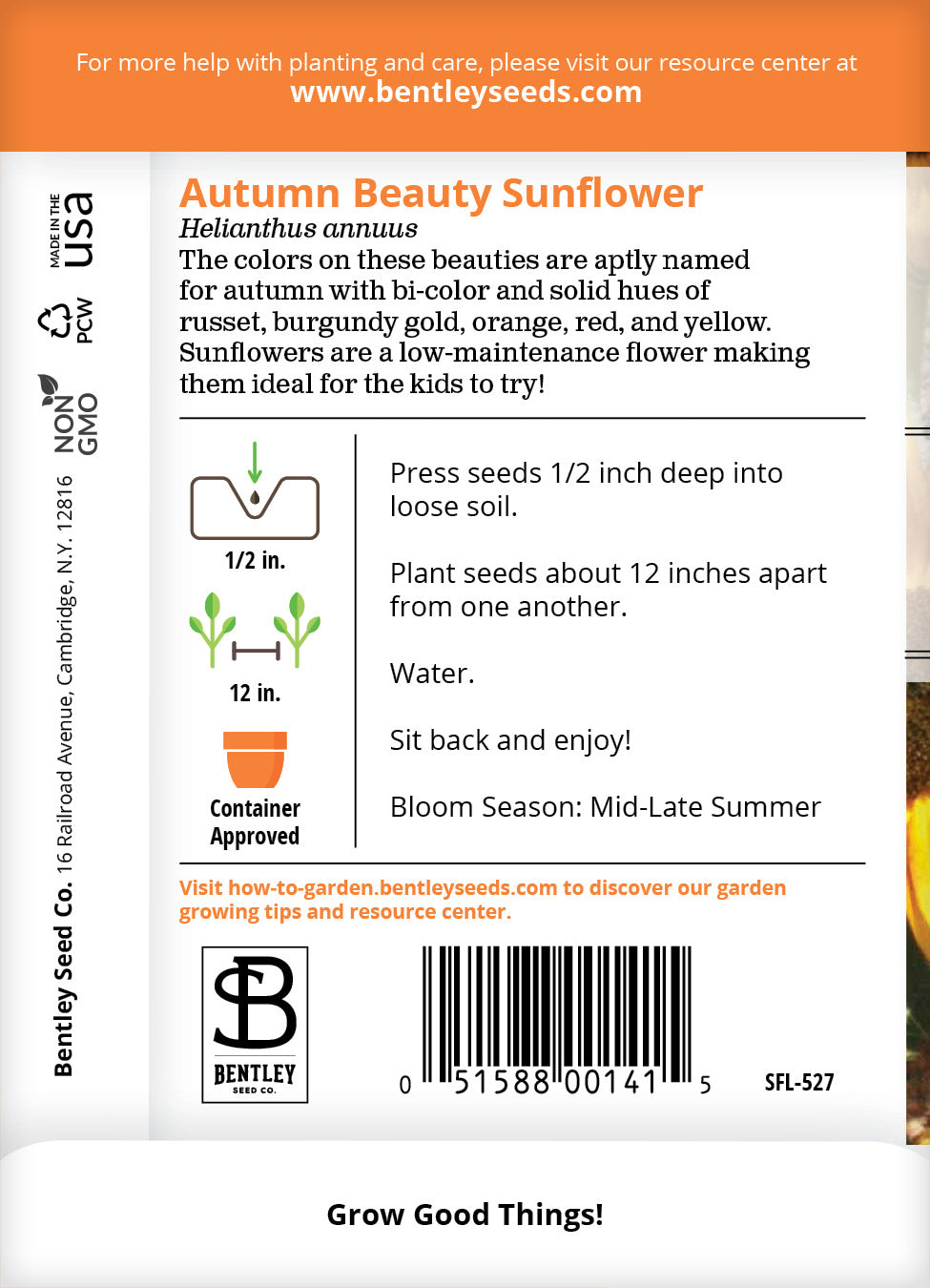 Sunflower, Autumn Beauty Seed Packets flower seeds