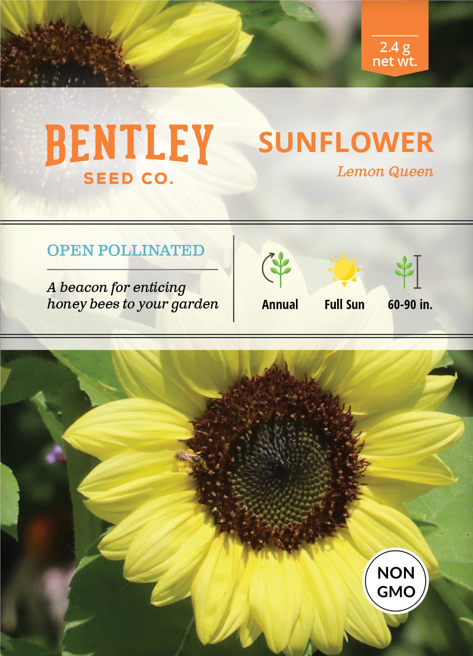 Sunflower, Lemon Queen Seed Packets garden seeds