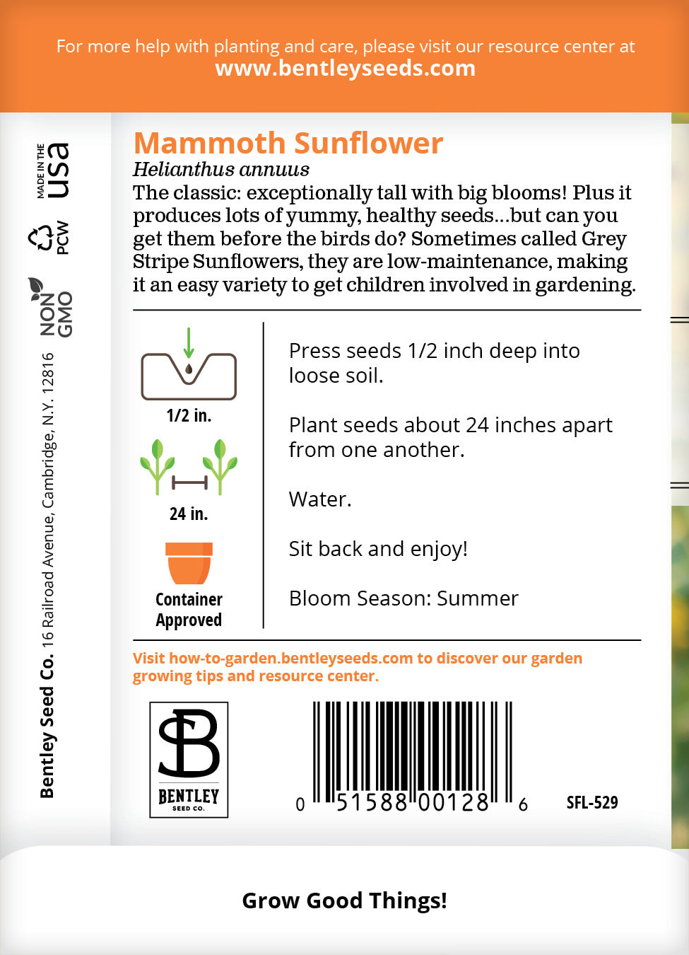Sunflower, Mammoth Seed flower seeds