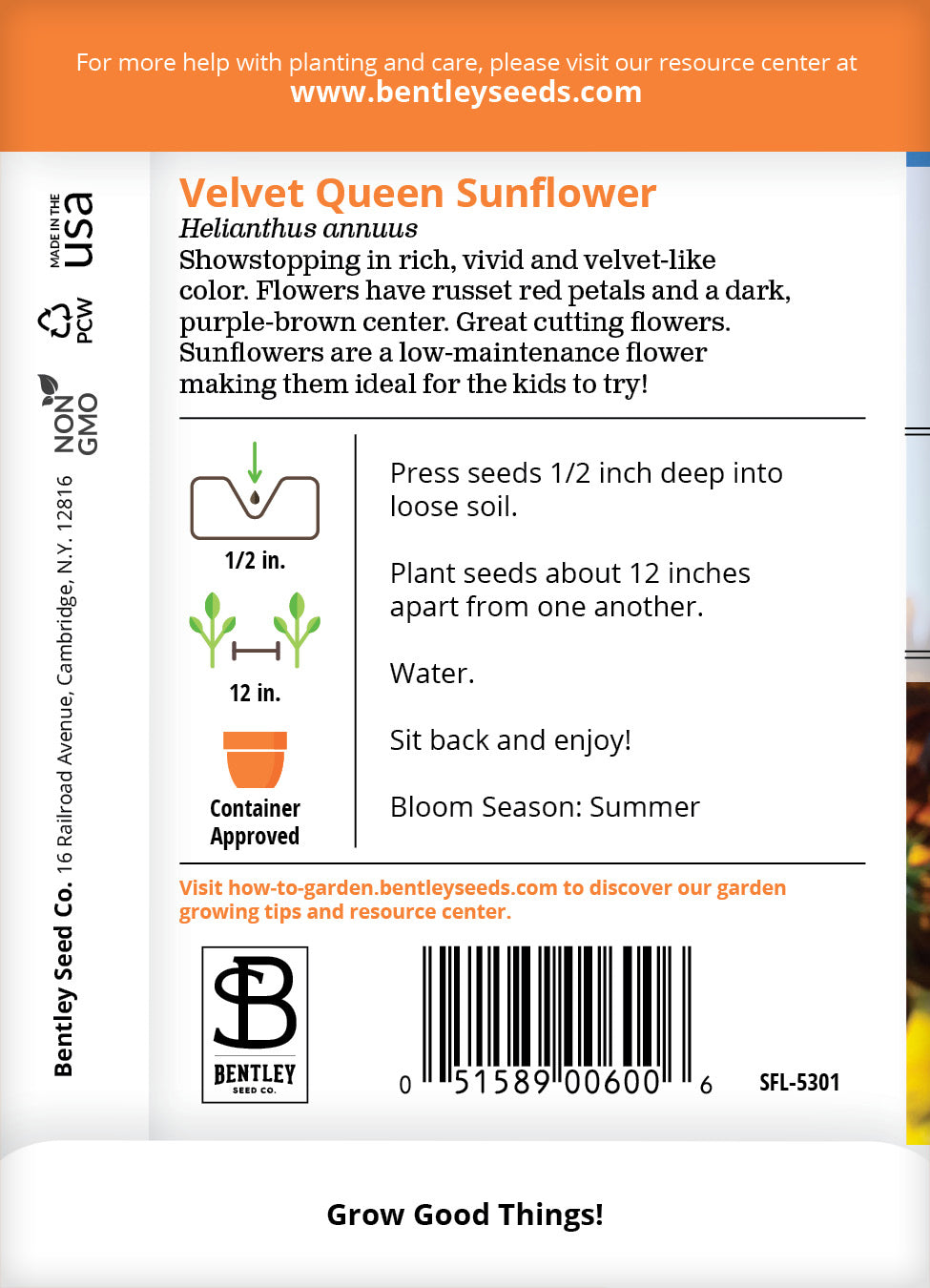 Sunflower, Velvet Queen Seed Packets garden seeds
