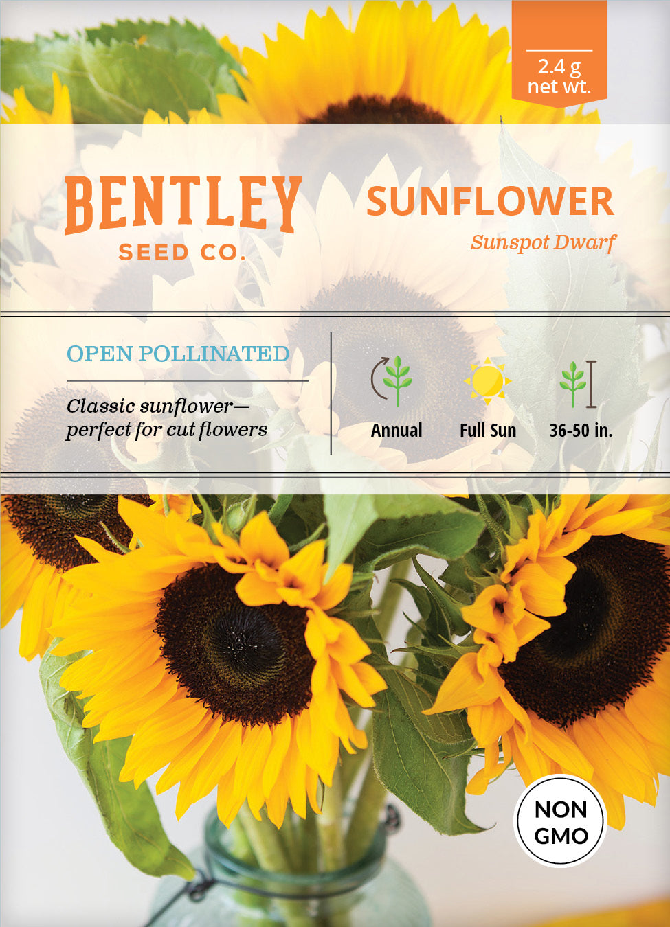 Sunflower, Sunspot Dwarf Seed Packets Organic Seeds Vibrant Blooms ...