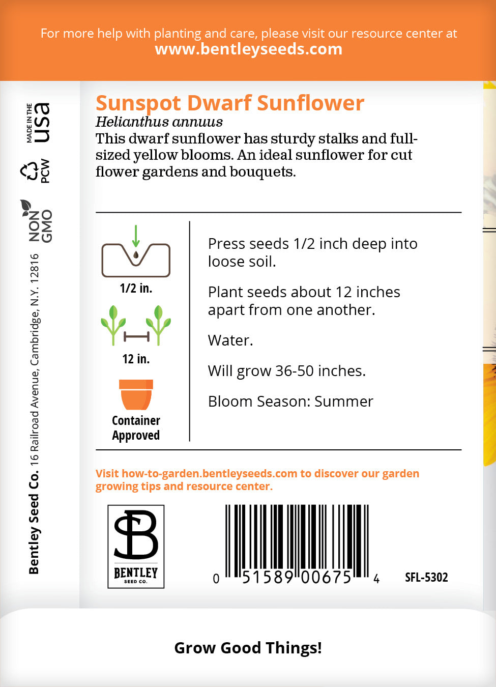 Sunflower, Sunspot Dwarf Seed Packets garden seeds