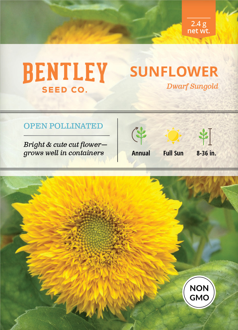 Sunflower, Dwarf Sungold Seed Packets seed packet