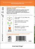 Sunflower, Dwarf Sungold Seed Packets