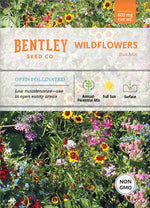 Wildflower, Sunny Wildflower Mix Seed Packets seed packet