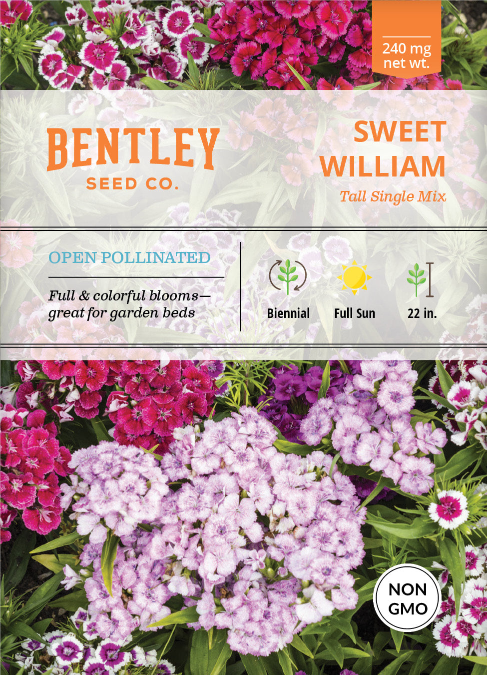 Sweet William, Tall Single Mix Seed Packets seed packet
